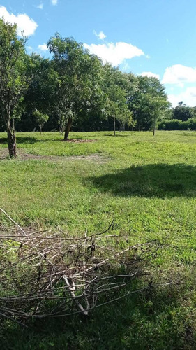 Imagem 4 de 14 de Vendo Excelente Chácara Com 2casas Córrego Nos Fundos Em Pl