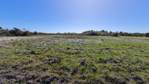 Parcela 10.000 M2 (1 Hectárea) - La Pasada - Maullín