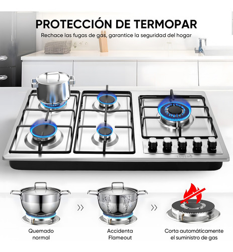 Parrilla Estufa Empotrable 5 Quemadores Gas Acero Inoxidable Plateado
