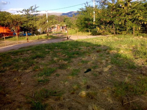 Imagen 4 de 5 de Encantador Lote Para Cambiar De Vida!!! Carpinteria San Luis