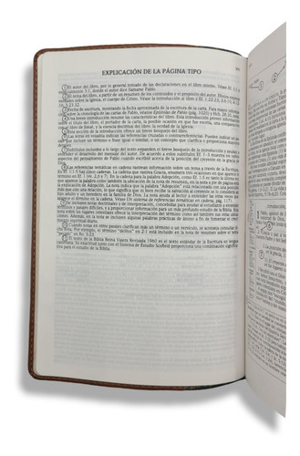 Imagen 4 de 10 de Biblia De Estudio Scofield 1960 Imit Piel Verde Con Cafe