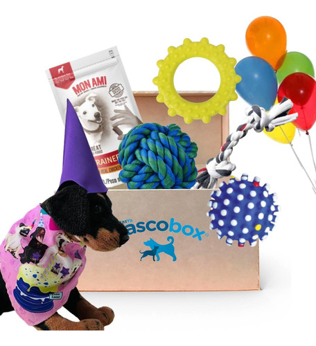 Mascobox Cumpleaños Con Juguetes Cotillon Premium Perros