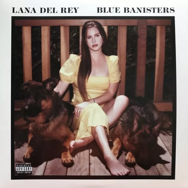 Primera imagen para búsqueda de lana del rey