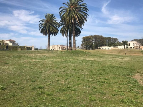 Imagen 4 de 6 de Nordelta - El Mejor Lote Del Barrio La Isla En Venta.