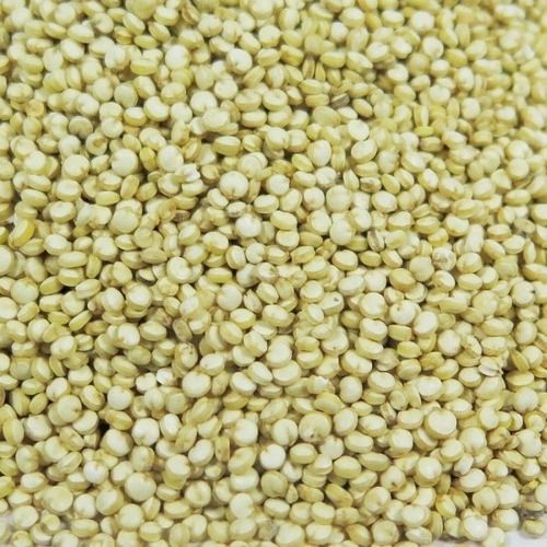Semillas De Quinoa X 1kg Doypack