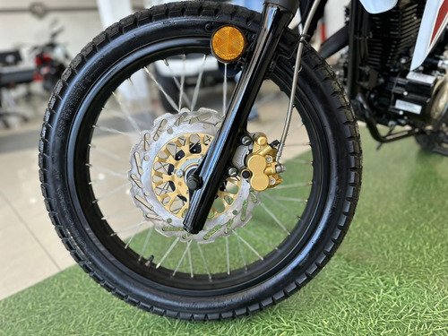 Motomel Skua Solo Dni