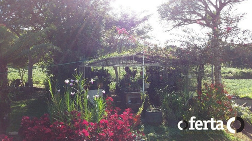 Imagem 5 de 15 de Chacara Com Casa - Mariental - Ref: 321 - V-321
