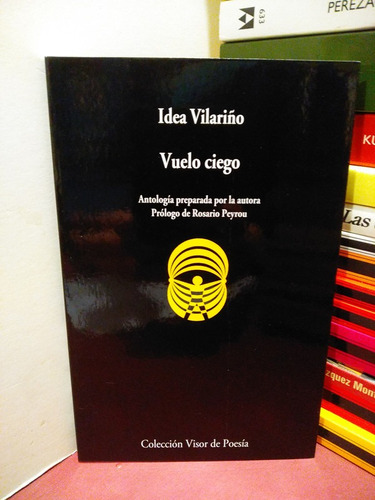 Vuelo Ciego - Idea Vilariño