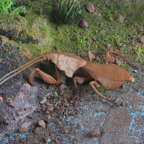 Figuras De Animales En Miniatura, Modelo De Estilo A