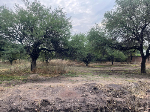 Terreno De 10 Mil Metros Cuadrados