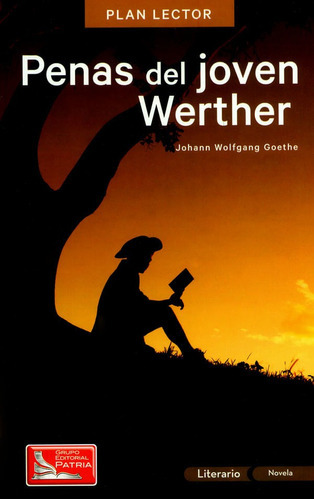Penas del joven Werther. Con cuaderno de actividades, de Johann Wolfgang Goethe. Editorial Difusora Larousse de Colombia Ltda., tapa blanda, edición 2017 en español