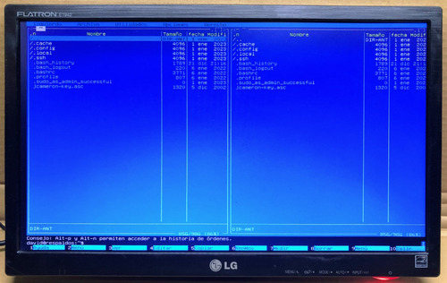Monitor LG Flatron E1942c 19 Lcd Sin Base (Usado)