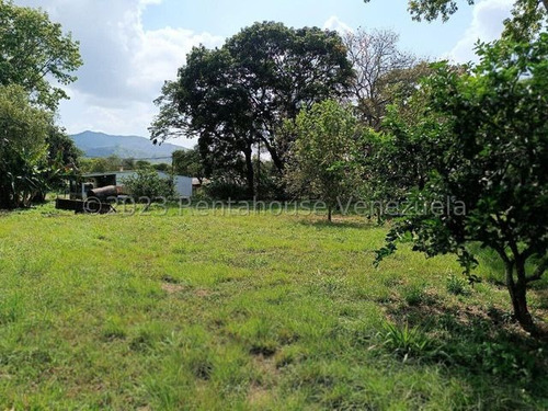 Oportunidad Unica Para Inversores Interesados En Actividades Agropecuarias Inm,avicola, Ganadera, Agricultura ,finca De 176 Hec. Con Activos Y Comodidades. Miranda, Carabobo