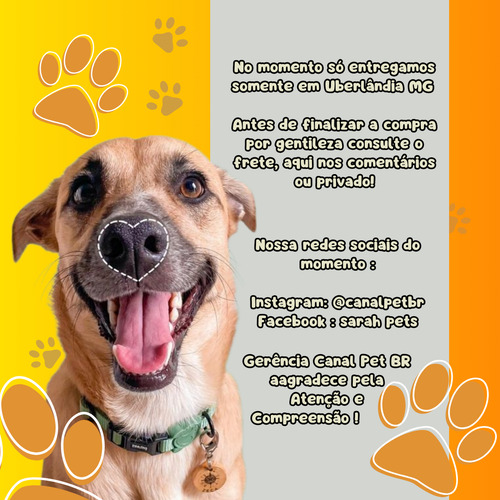 Animais Exótico - Coelho Nova Zelândia