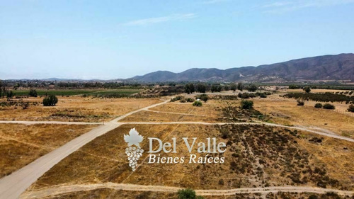 Imagen 4 de 6 de 2,645 M2 El Porvenir Valle De Guadalupe