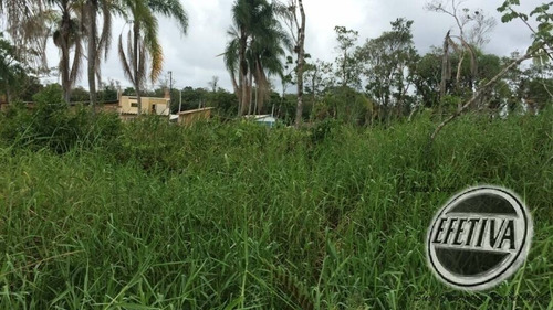 Imagem 4 de 6 de Terreno A Venda 366m² - Balneário Solymar - Matinhos Pr - 601t