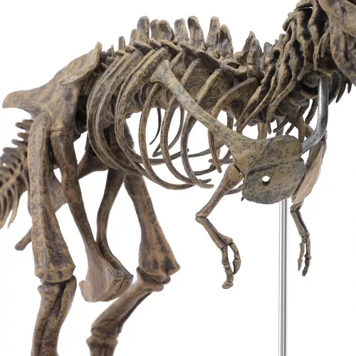 Esqueleto Dinossauro T-rex - ( quebra cabeça ) 60cm - Escorrega o Preço