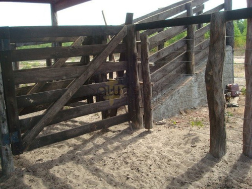 Fazenda A Venda No Bairro Zona Rural Em Taguatinga - To. - 5675-1