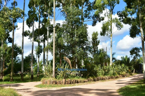 Alquiler - Haras Del Lago