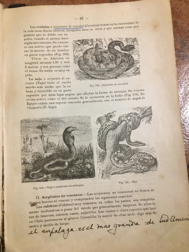 Libro Antiguo Elementos De Zoología, P. Félix Jaffuel (1921) (Usado)