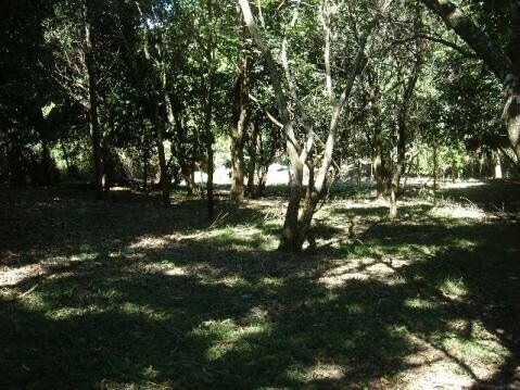 Imagem 5 de 6 de Terreno-para-venda-em-parque-jatibaia-(sousas)-campinas-sp - Te2132