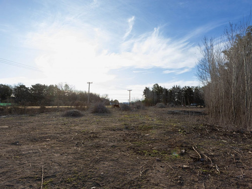 Imagen 11 de 16 de Lote | Ruta Nac. N° 8 112