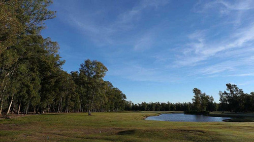 Imagen 7 de 11 de Venta Terreno - Campo Timbo
