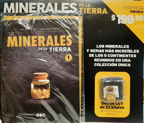 Descubre Y Colecciona Minerales De La Tierra - Oro - Nro 1