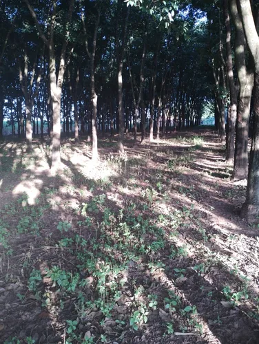 Propriedade Rural