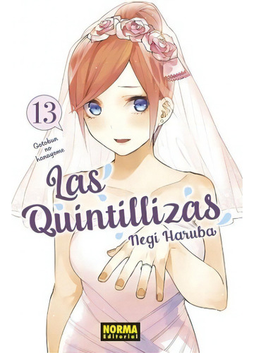 Las Quintillizas No. 13, De Negi Haruba. Serie Las Quintillizas, Vol. 13. Editorial Norma Comics, Tapa Blanda En Español