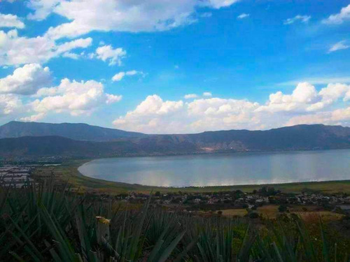 Terreno Rustico Con Vista A La Laguna De Chapala San Pedro T
