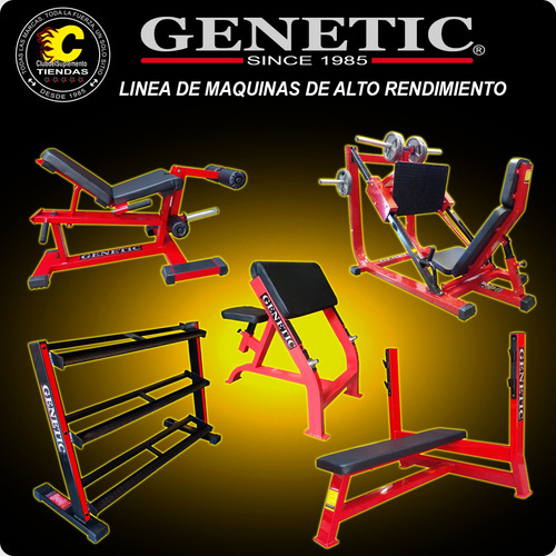 Silla Romana Fondo Triceps + Dorsalera De Dominadas Genetic