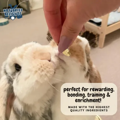 Alimento Para Conejo Hámster Cobaya Chinchilla Ratones