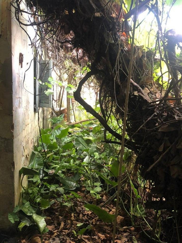 Imagen 2 de 4 de Lote Para Desarrolladores. Permiso De Construcción Otorgado Y Derechos Pagos.