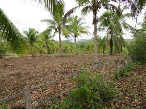 Imagem 13 de 15 de Fazenda Para Venda Em Mata De São João, Zona Rural, 3 Dormitórios, 1 Suíte, 2 Banheiros, 99 Vagas - 345_1-1401387