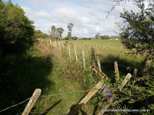 Venta Campo Aiguá