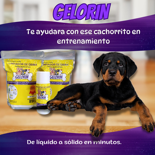 Gelorin-limpiador De Orines Para Mascota