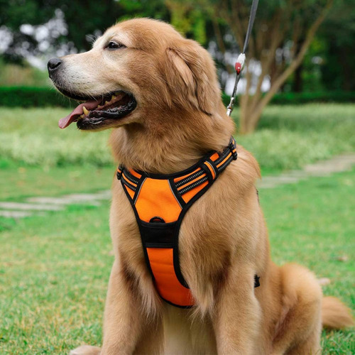 Arnés Para Perros Rabbitgoo, Antideslizante, Ajustable, L