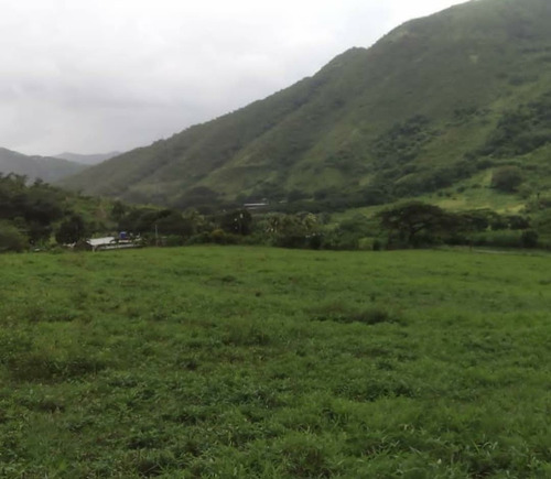 Imagen 11 de 11 de Finca En Venta El Pao La Victoria 15/9/20