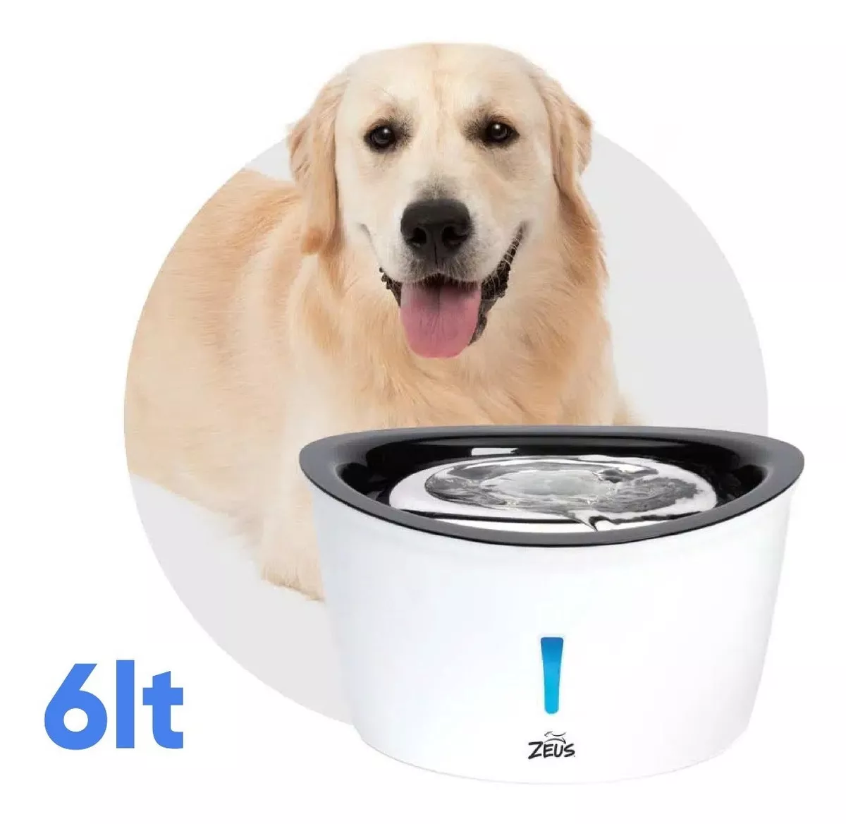 Tercera imagen para búsqueda de platos para perros