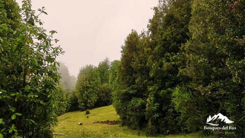 3mm De Pie Venta Parcela Colonia RÃo Sur - Puerto Varas