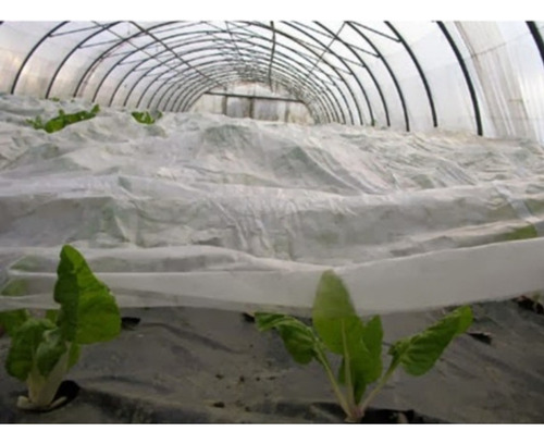 Tela Antihelada 2mts X50 Mts Filtro Uv