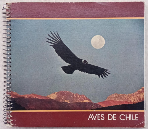 Aves De Chile Thomas Daskam Agenda 1977 Bilingue
