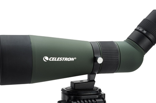 Catalejo Telescopio Terrestre Celestron Caza Tiro 12-36x60 Color Verde Oscuro