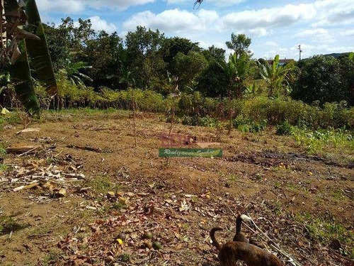 Imagem 19 de 26 de Chácara Com 3 Dormitórios À Venda, 4000 M² Por R$ 477.000 - Centro - Biritiba Mirim/sp - Ch0755