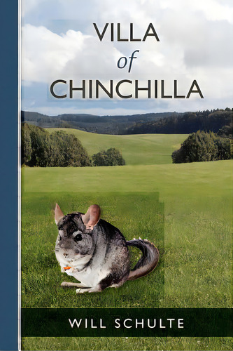 Villa Of Chinchilla, De Schulte, Will. Editorial Createspace, Tapa Blanda En Inglés