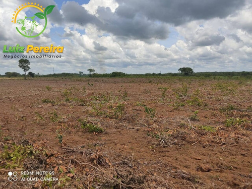 Imagem 7 de 10 de Fazenda À Venda Em Conceição Do Araguaia-pa-1.694 Hectares (dupla Aptidão) - 2028
