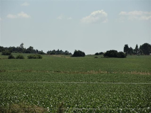 Campo En Venta En Solís De Mataojo
