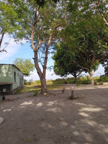 Imagen 4 de 15 de Se Vende Finca Via Al Sur Ve02-1303vs-dfer