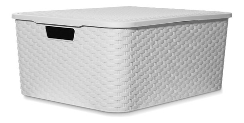 Imagen 1 de 10 de Caja Organizadora Simil Rattan Grande Xl Pack X 4 Premium